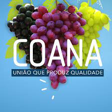 LOGO da COANA, parceiro da Humana´s